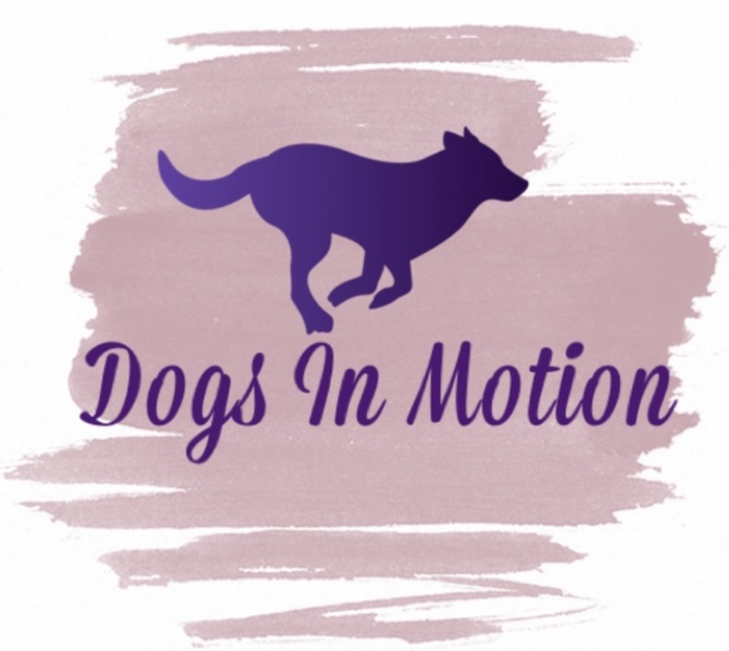 Dogs In Motion Scheduling and Booking site